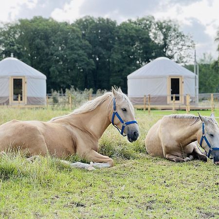 Magnolia Hoeve - Unieke Bestemming Voor Paardenliefhebbers En Bijzondere Overnachtingen In De Natuur Ledeacker ภายนอก รูปภาพ