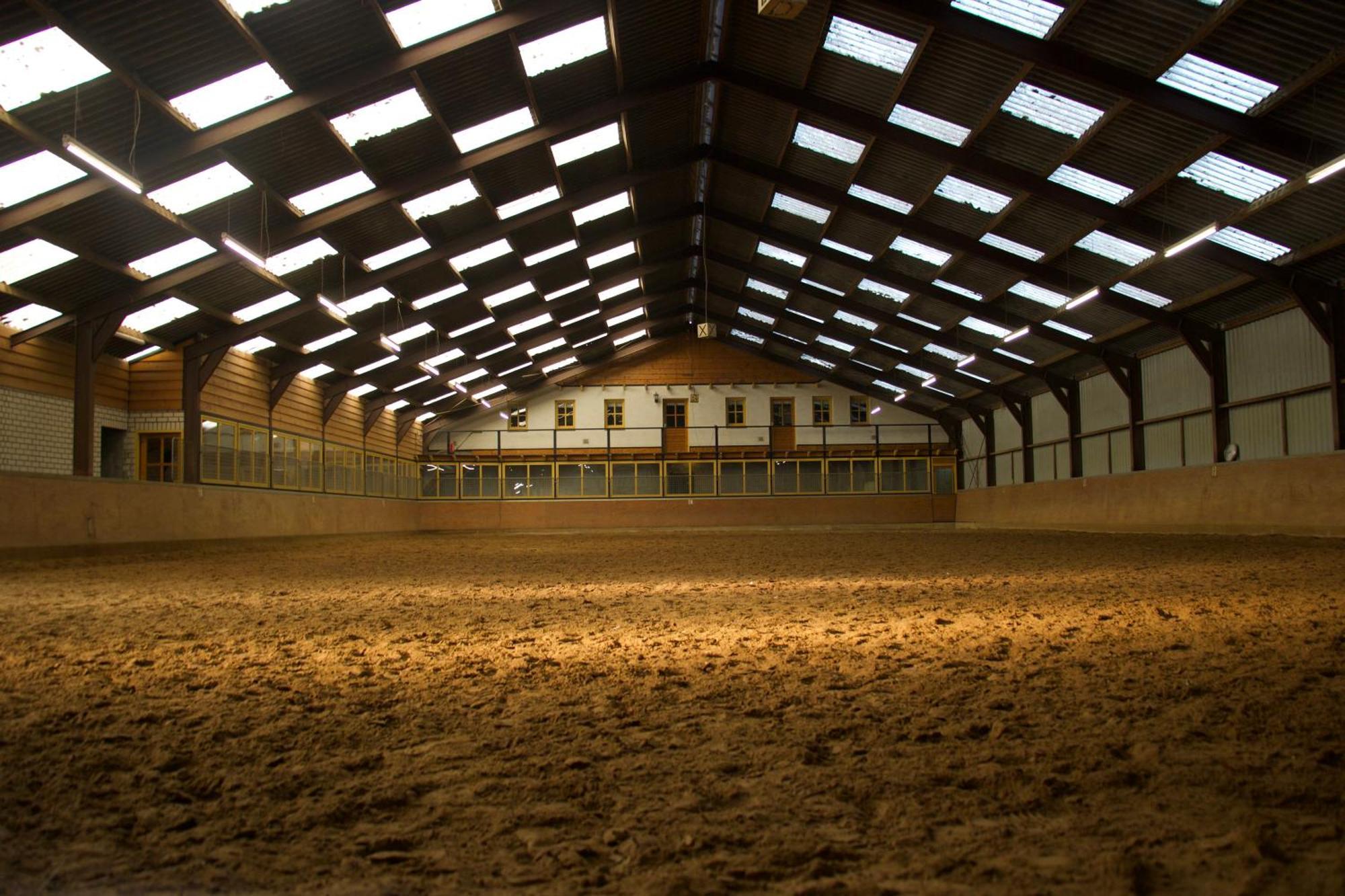 Magnolia Hoeve - Unieke Bestemming Voor Paardenliefhebbers En Bijzondere Overnachtingen In De Natuur Ledeacker ภายนอก รูปภาพ