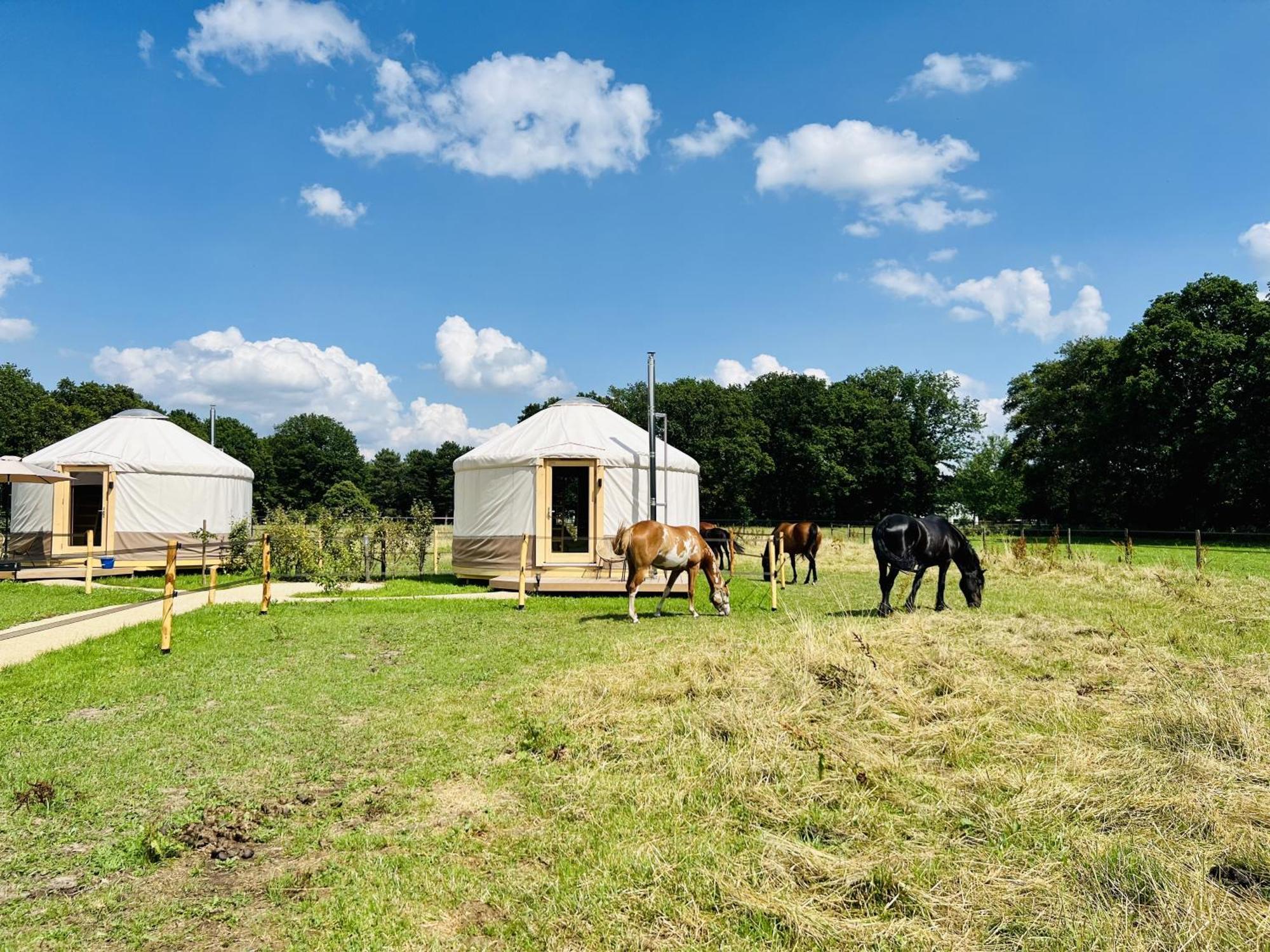 Magnolia Hoeve - Unieke Bestemming Voor Paardenliefhebbers En Bijzondere Overnachtingen In De Natuur Ledeacker ภายนอก รูปภาพ