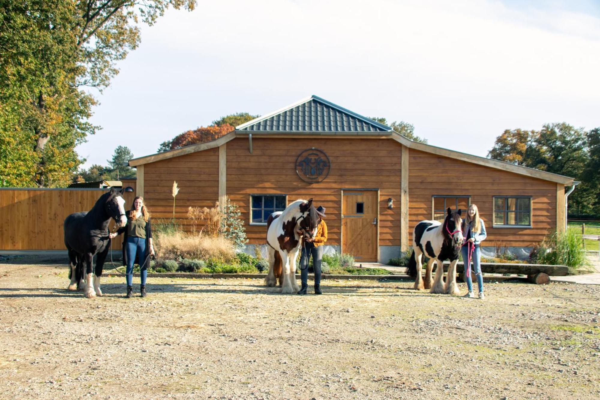Magnolia Hoeve - Unieke Bestemming Voor Paardenliefhebbers En Bijzondere Overnachtingen In De Natuur Ledeacker ภายนอก รูปภาพ
