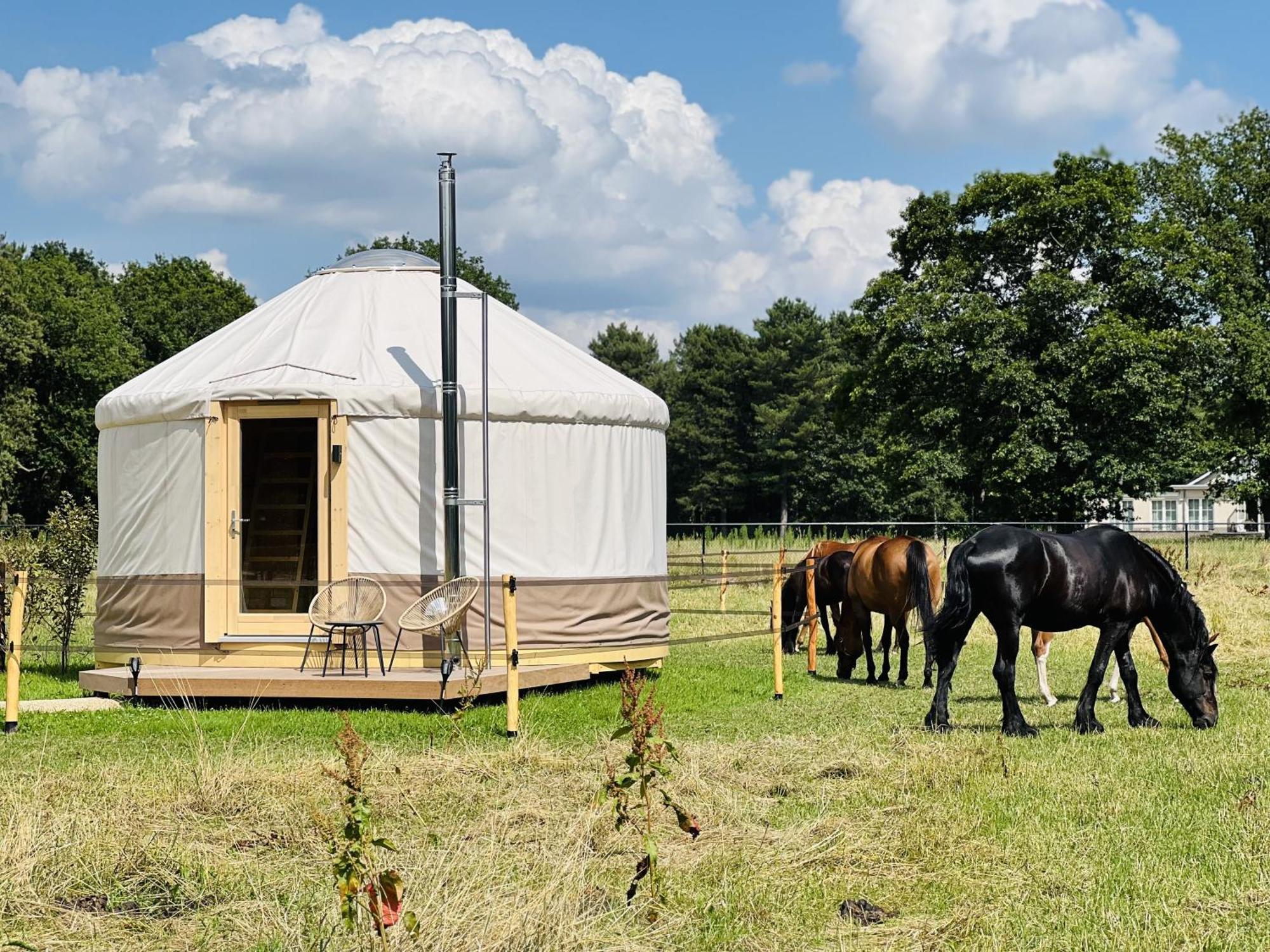 Magnolia Hoeve - Unieke Bestemming Voor Paardenliefhebbers En Bijzondere Overnachtingen In De Natuur Ledeacker ภายนอก รูปภาพ