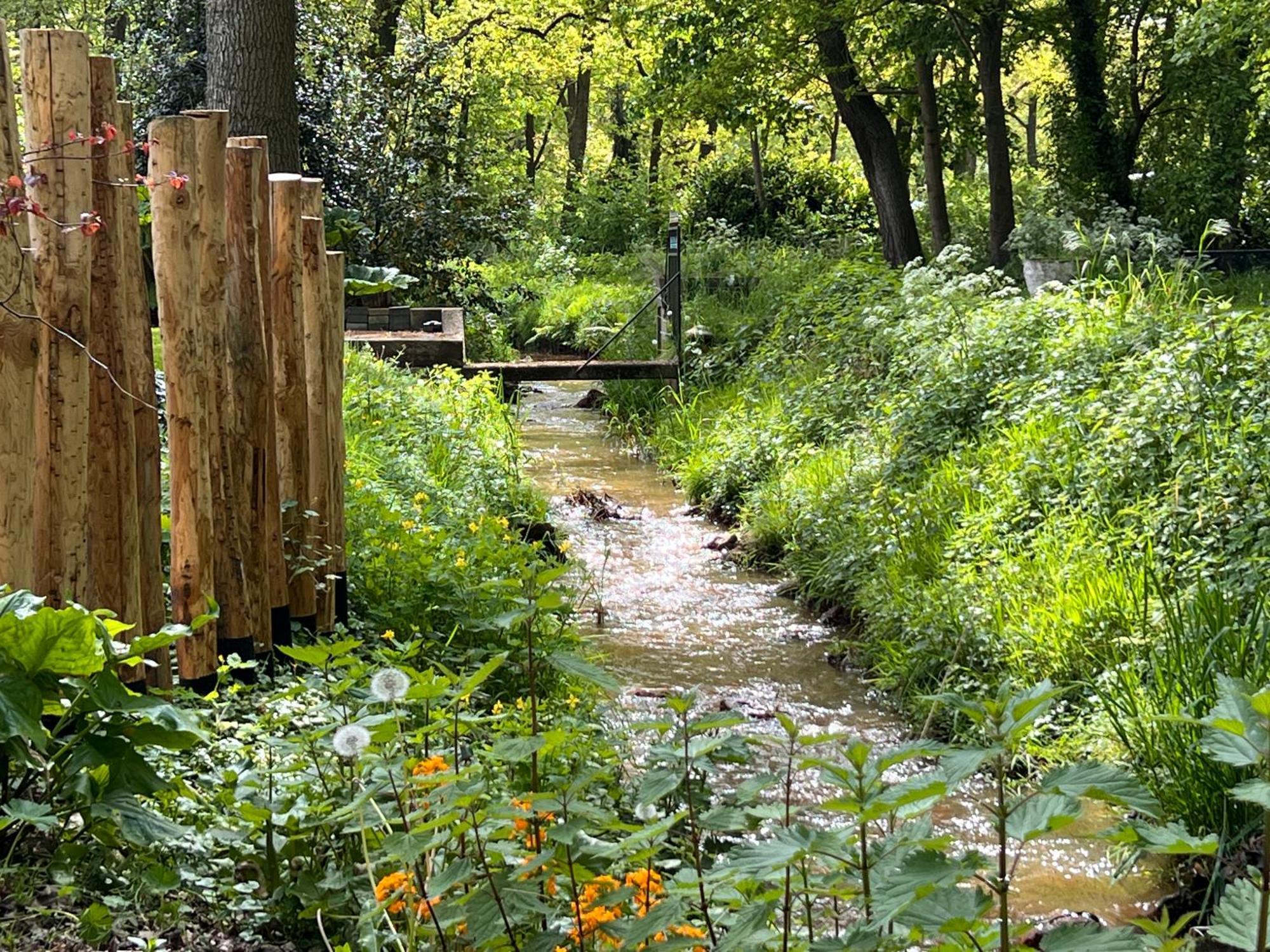 Magnolia Hoeve - Unieke Bestemming Voor Paardenliefhebbers En Bijzondere Overnachtingen In De Natuur Ledeacker ภายนอก รูปภาพ